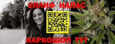 индика Северобайкальск