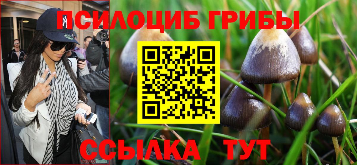 Галлюциногенные грибы мицелий  Псилоцибиновые грибы мухоморы  хочу   Троицк  Вход с VPN 
